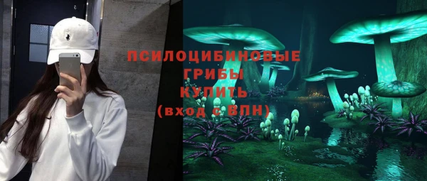 а пвп мука Белокуриха